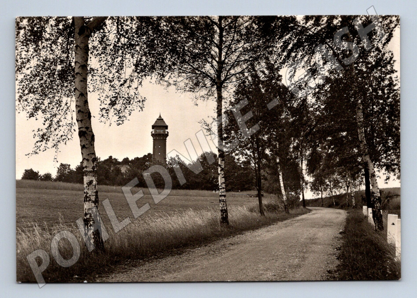 Pohlednice Český Ráj rozhledna na Táboře 1960 (M32202)