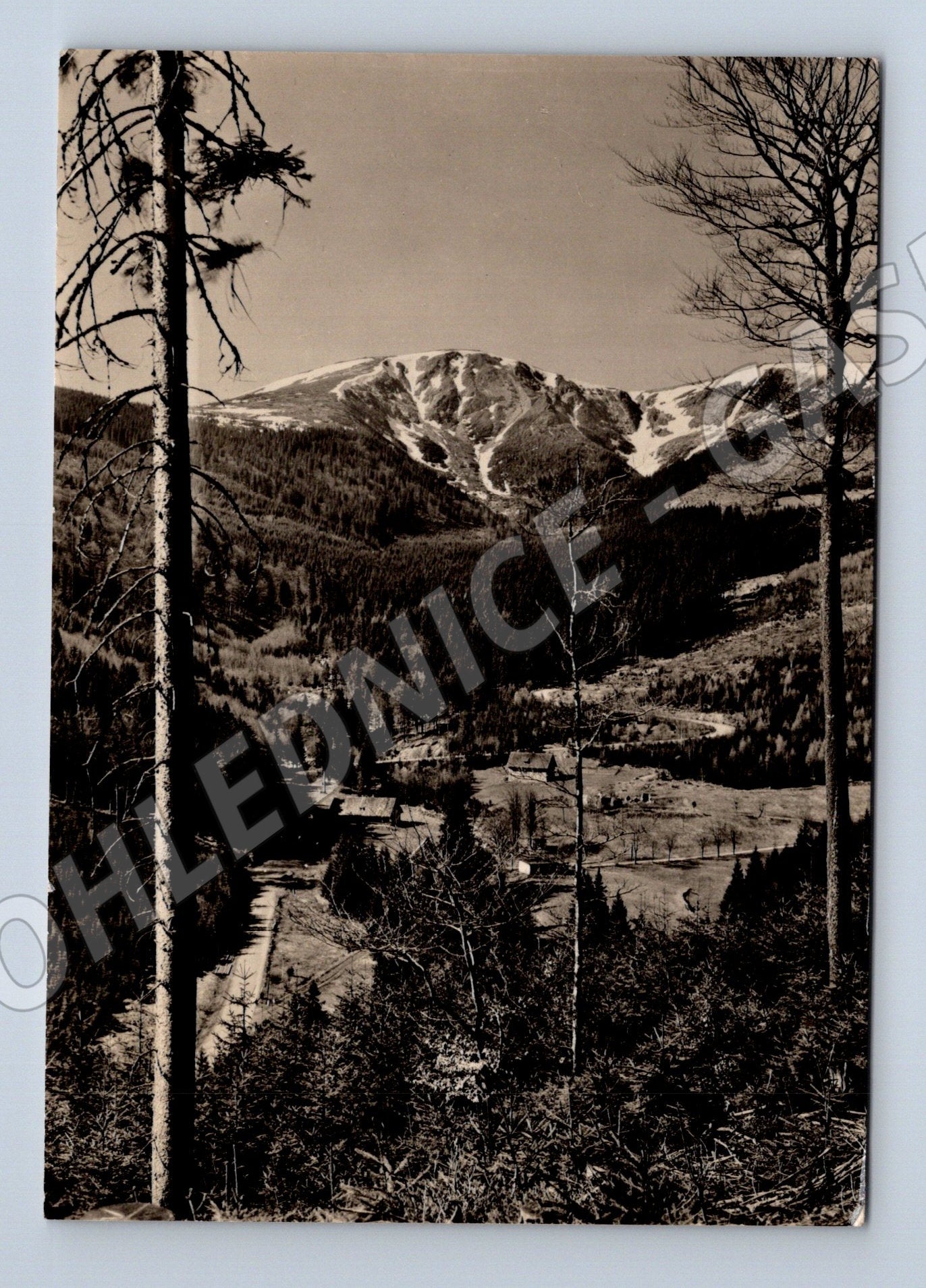Pohlednice Krkonoše Mísečky Kotel 1961 (M32210)