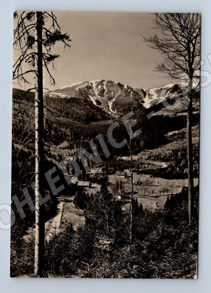 Pohlednice Krkonoše Mísečky Kotel 1961 (M32210)