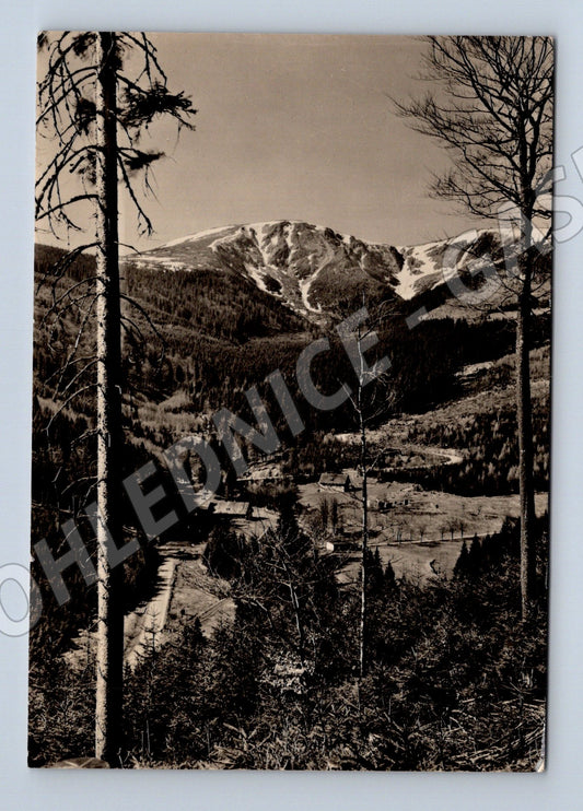 Pohlednice Krkonoše Mísečky Kotel 1961 (M32210)