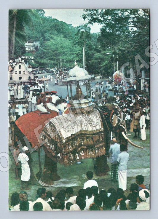 Pohlednice Sri Lanka Kandy sloní procesí 1980 (M32258)