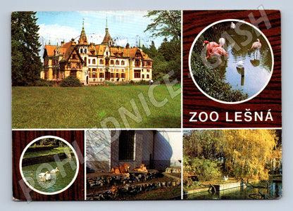 Pohlednice ZOO Lešná zámek a zvířata 1970 (M32325)