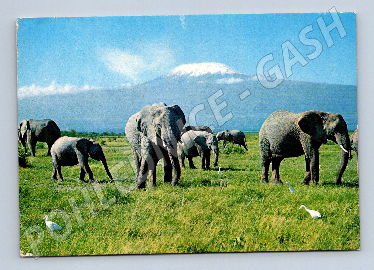 Pohlednice Keňa Sloni a Kilimandžáro 1977 (M32409)
