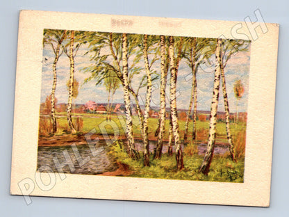 Pohlednice břízy u potoka malovaný motiv (M32505)