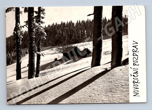 Pohlednice Novoroční pozdrav zimní krajina 1959 (M32578)