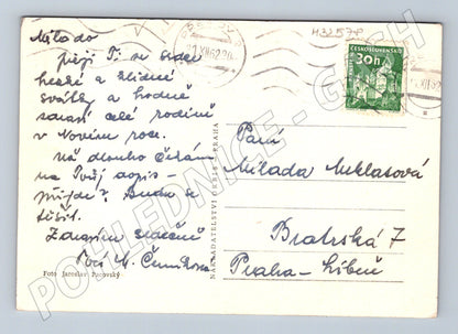 Pohlednice Novoroční pozdrav zimní krajina 1959 (M32578)