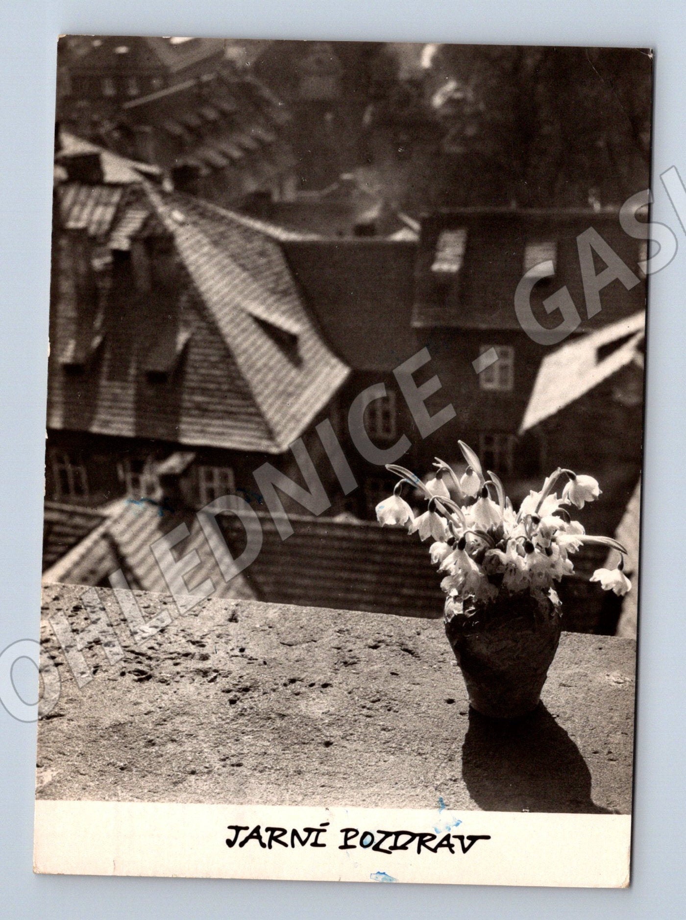 Pohlednice Jarní pozdrav květiny 1961 (M32594)