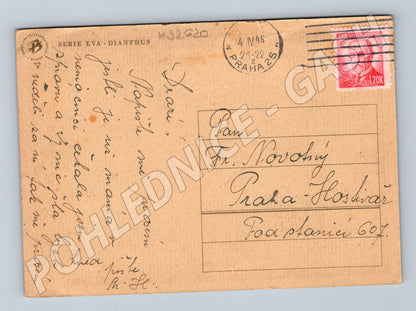 Pohlednice květiny karafiáty 1946 (M32620)