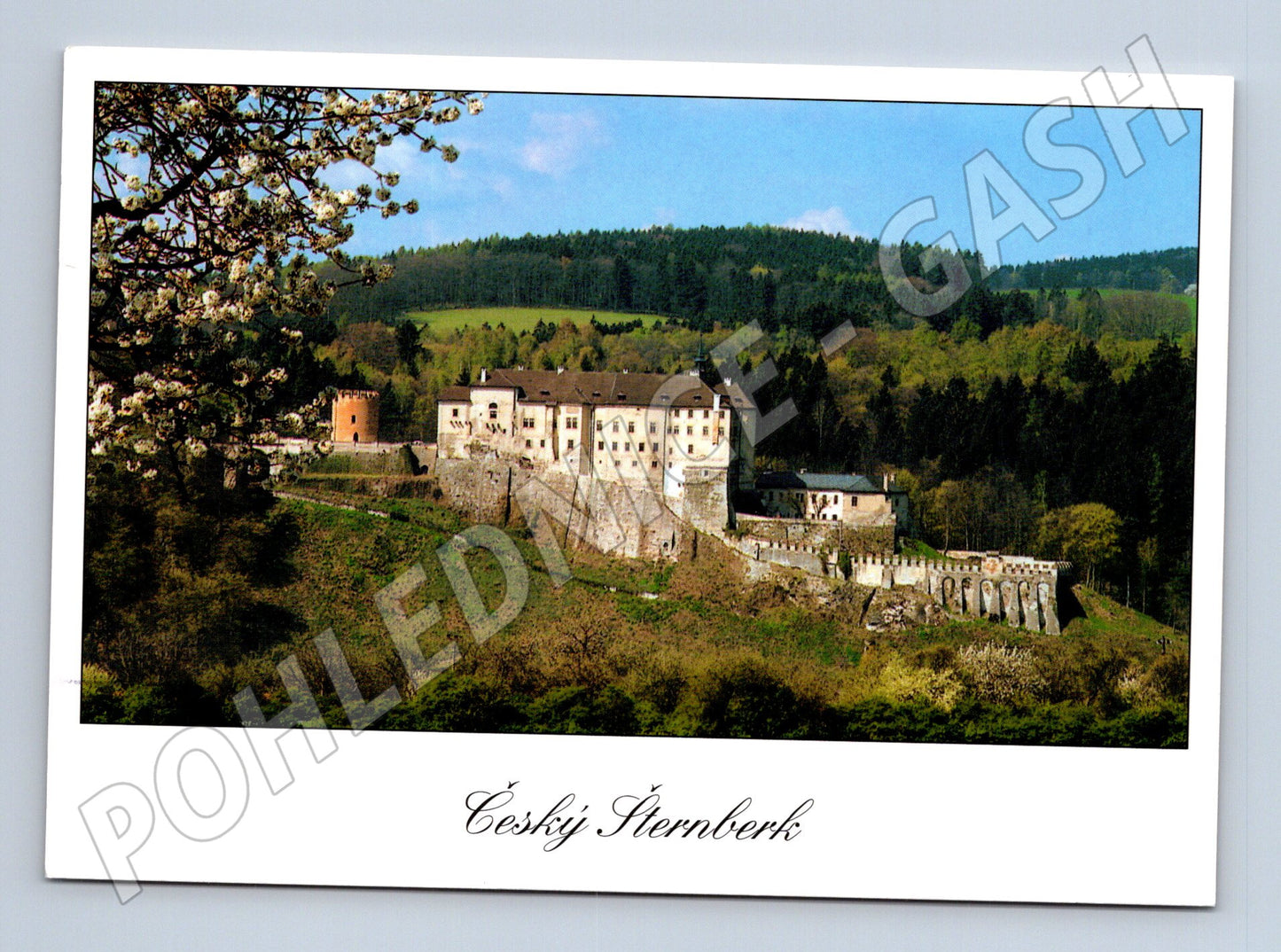 Pohlednice hrad Český Šternberk (M3264)