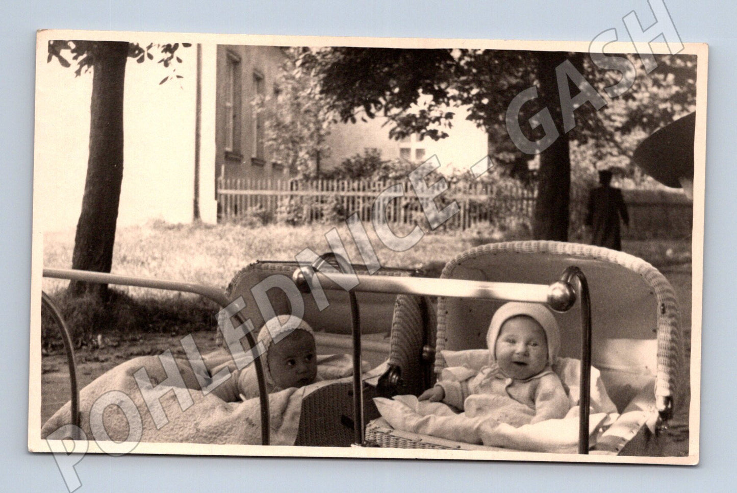 Stará fotografie dvě miminka v kočárcích venku (M32654)