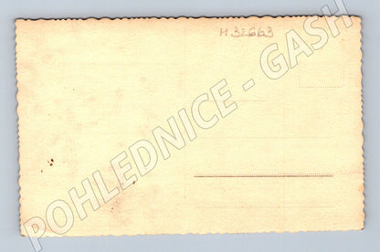 Pohlednice portrét ženy (M32663)