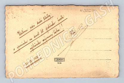 Stará fotografie ženský portrét 1920 (M32674)
