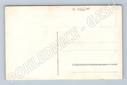 Pohlednice žena s psem (M32678)