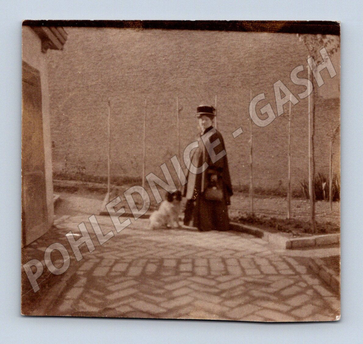 Pohlednice žena se psem stará fotografie (M32714)