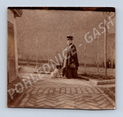 Pohlednice žena se psem stará fotografie (M32714)