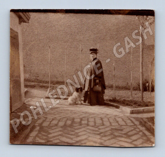 Pohlednice žena se psem stará fotografie (M32714)