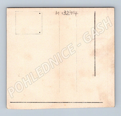 Pohlednice žena se psem stará fotografie (M32714)