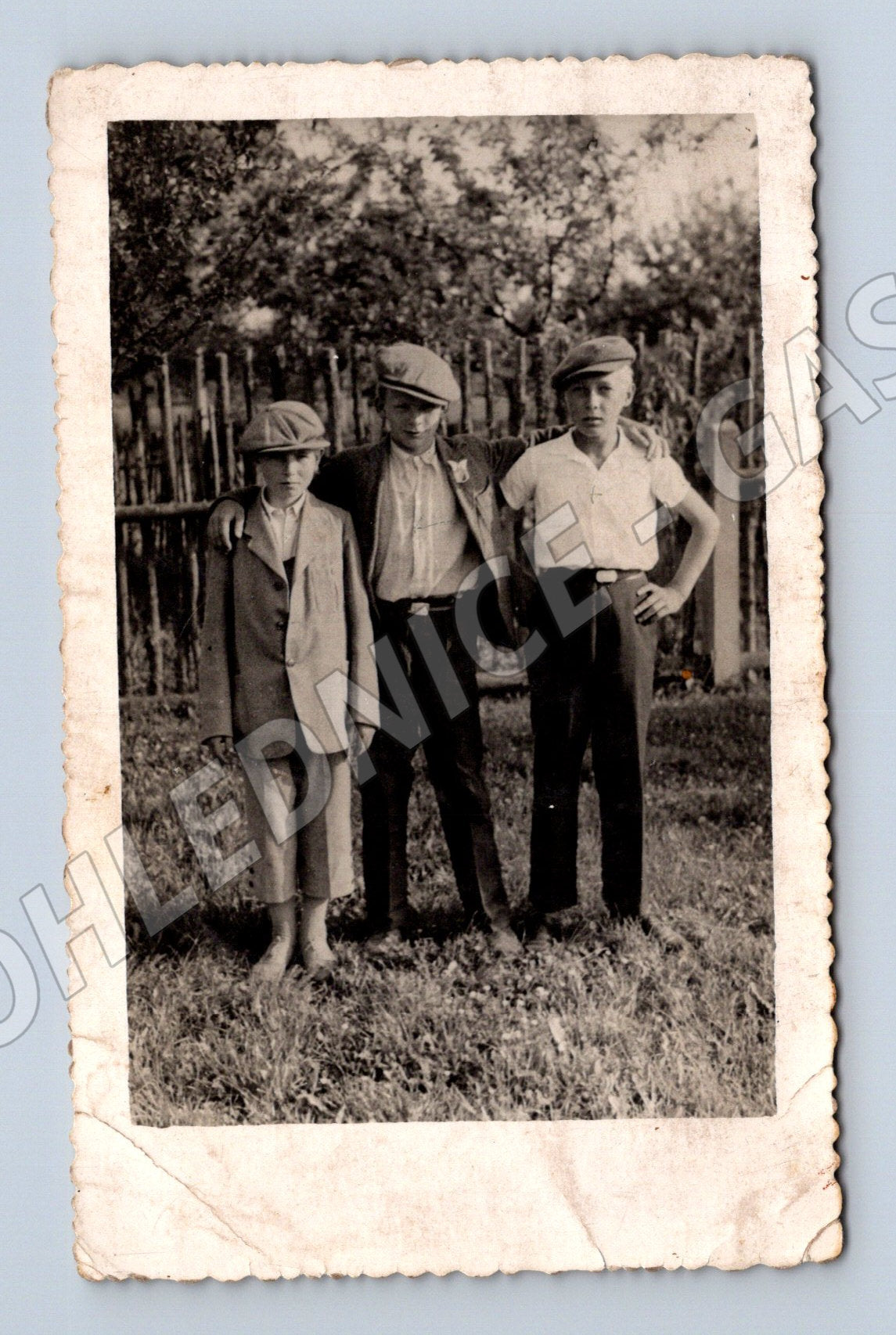 Stará fotografie tři chlapci v zahradě 1937 (M32837)