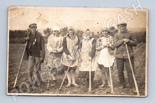 Stará fotografie skupina zemědělců v poli (M32843)