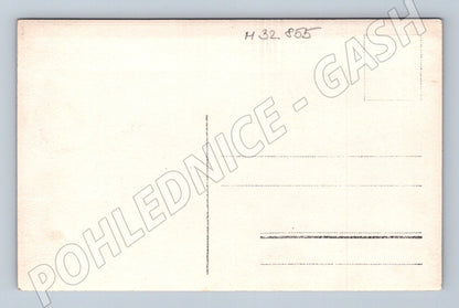 Pohlednice skupina lidí v přírodě (M32855)