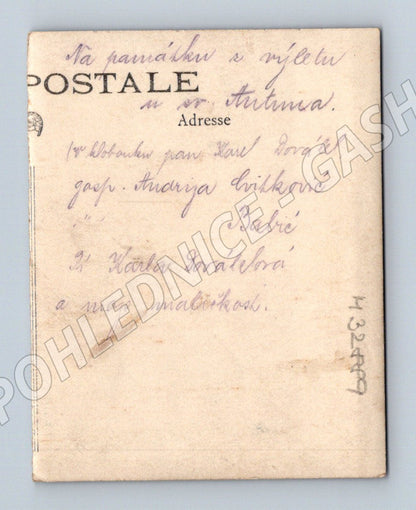 Pohlednice Chorvatsko skupinová fotografie 1920 (M32889)