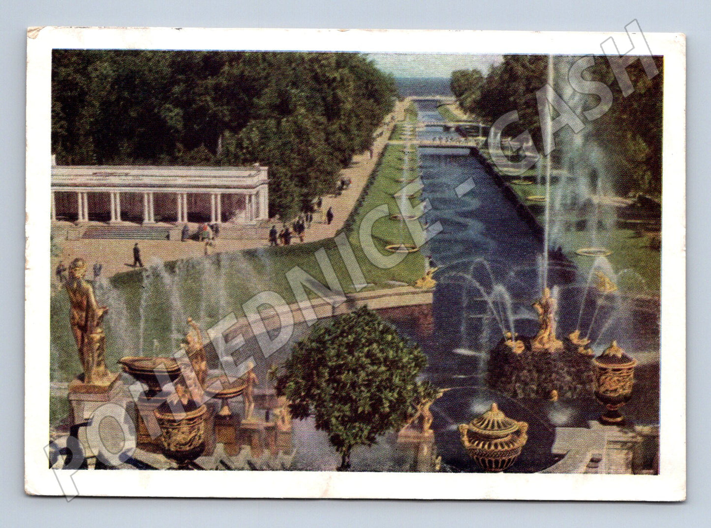 Pohlednice Rusko Peterhof park s fontánami 1961 (M32899)