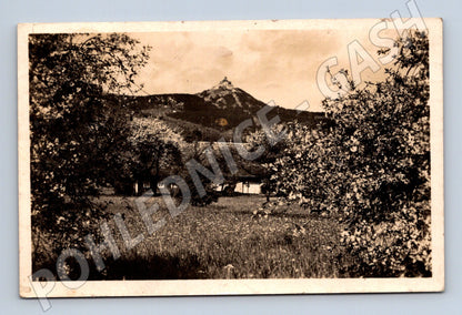 Pohlednice Ještěd s hotelem a vysílačem 1950 (M32950)
