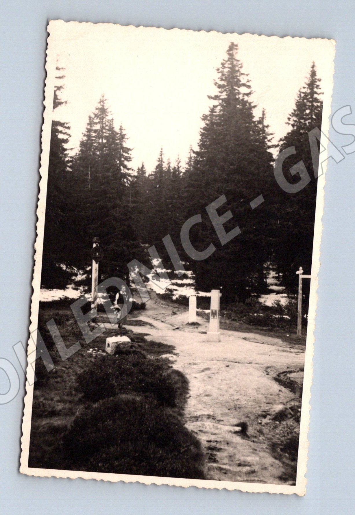 Pohlednice lesní cesta s kříži a pomníky HRANICE (M32964)