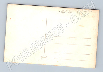 Pohlednice Horská krajina s osadou (M32966)