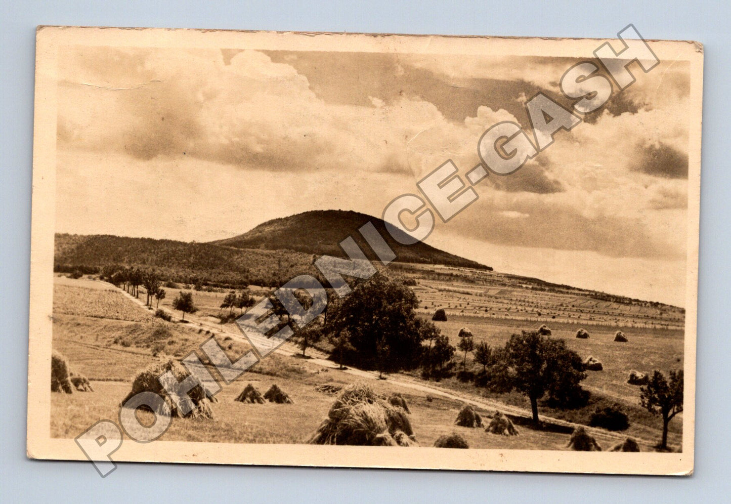 Pohlednice Říp u Roudnice krajina pole seno cca 1940 (M32986)