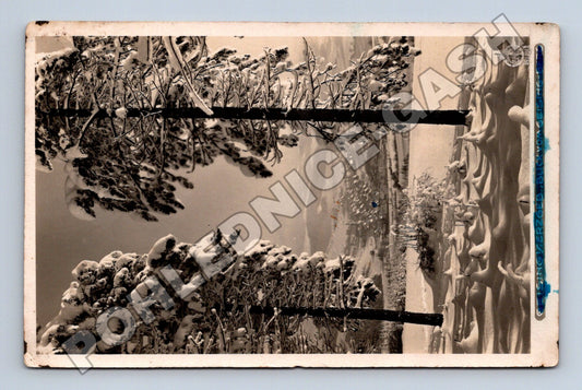 Pohlednice zimní krajina sníh 1947 (M32990)