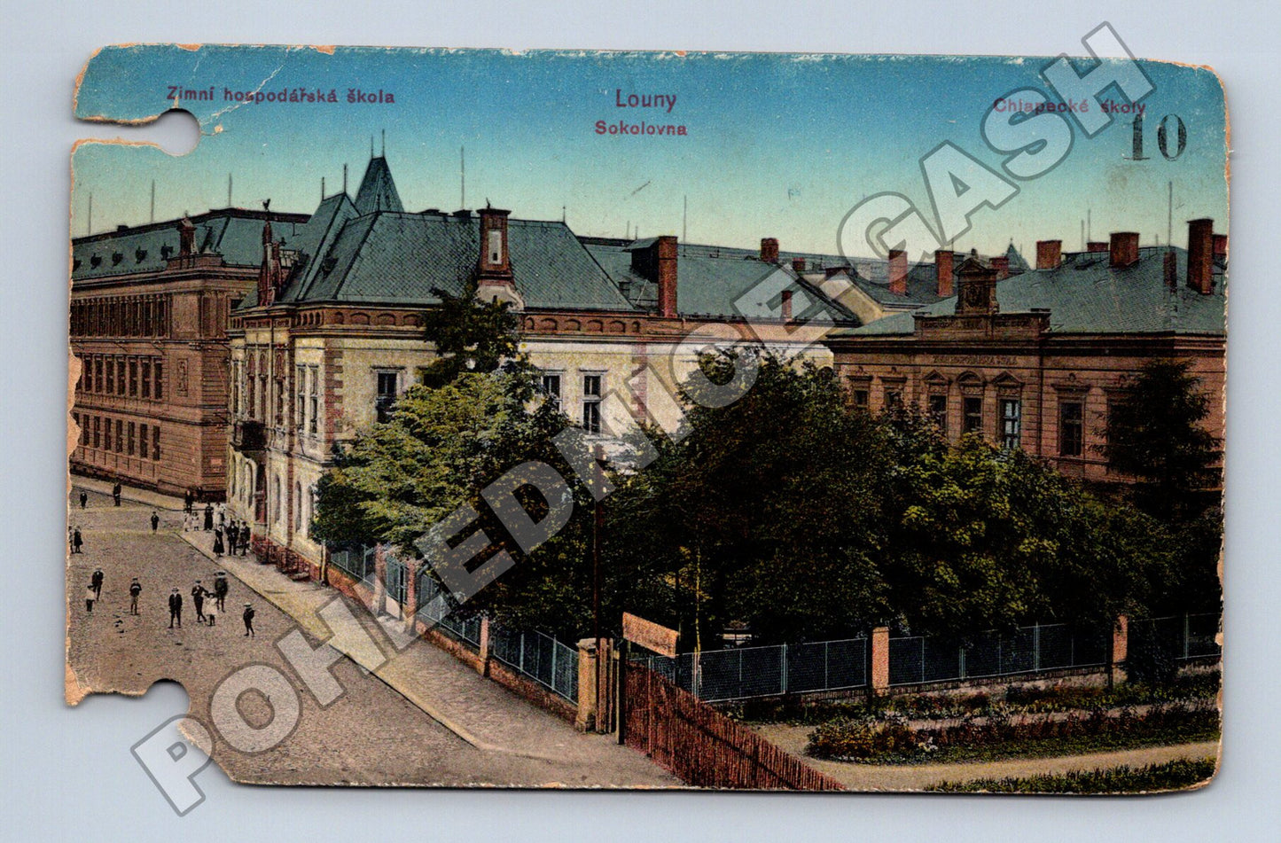 Pohlednice Louny Zimní hospodářská škola a Sokolovna (M33051)