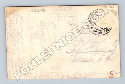 Pohlednice Hluboká n. Vlt. zámek 1923 (M33070)