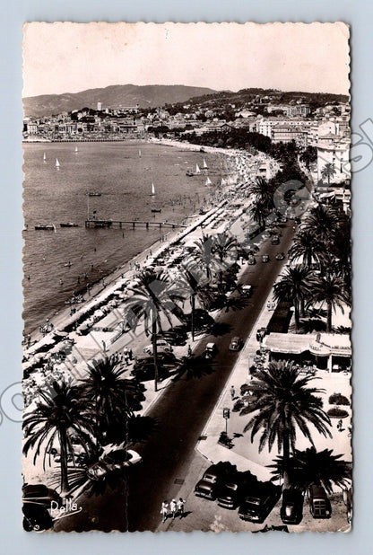 Pohlednice Francie Cannes, Boulevard de la Croisette 1955 (M33082)