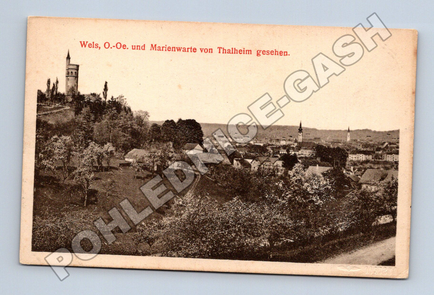 Pohlednice Rakousko Wels a Marienwarte 1916 (M33084)