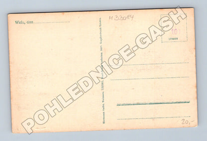 Pohlednice Rakousko Wels a Marienwarte 1916 (M33084)