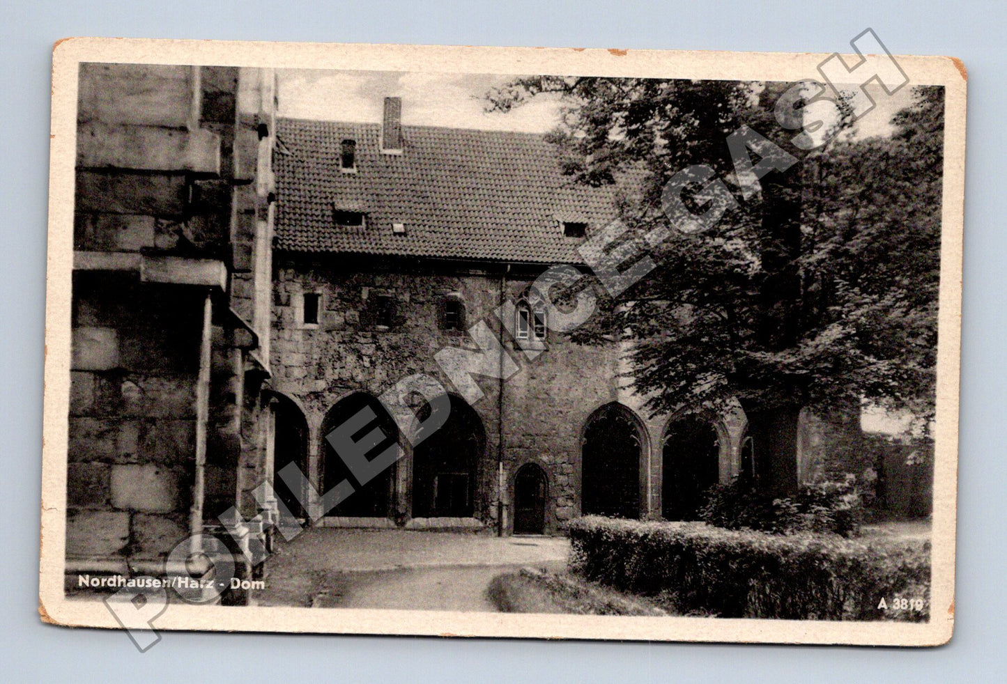 Pohlednice Německo Nordhausen Harz Dóm (M33090)
