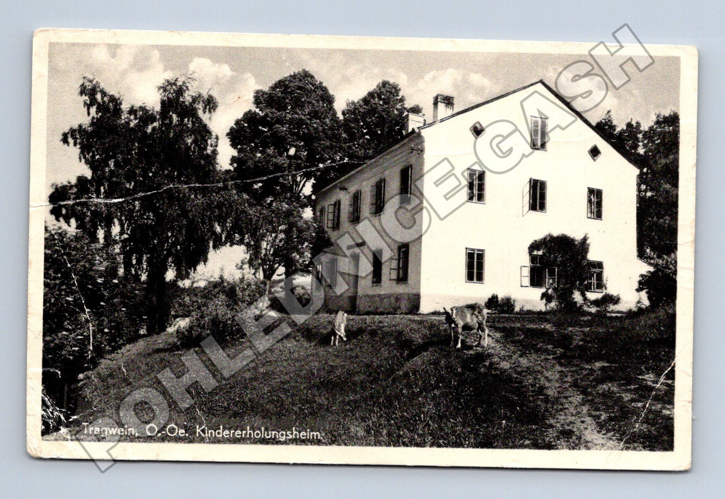 Pohlednice Rakousko Tragwein Kindererholungsheim 1938 (M33103)