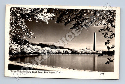 Pohlednice USA Washington D.C. Třešně Tidal Basin 1947 (M33131)