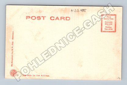 Pohlednice USA Scranton Nay Aug Park krajina (M33185)