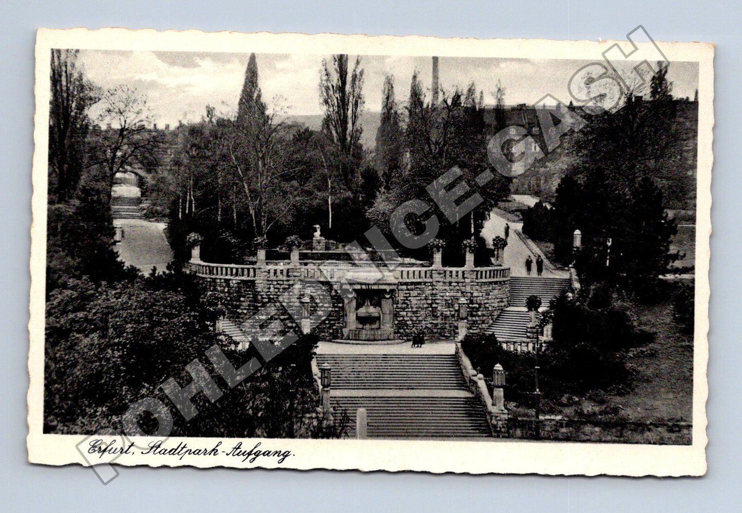 Pohlednice Německo Erfurt Stadtpark-Aufgang (M33218)