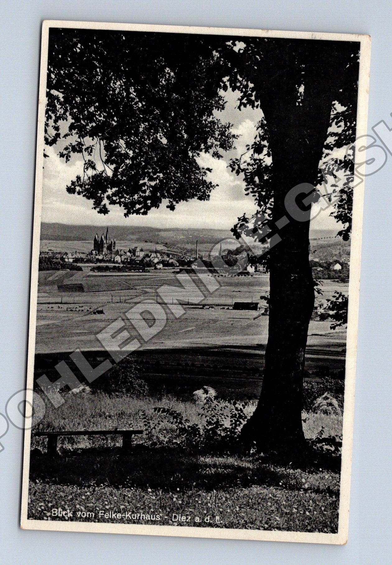 Pohlednice Německo Diez a. d. Lahn Falke-Kurhaus (M33221)
