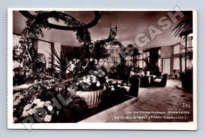 Pohlednice Francie loď Normandie Le Jardin d'Hiver (M33283)