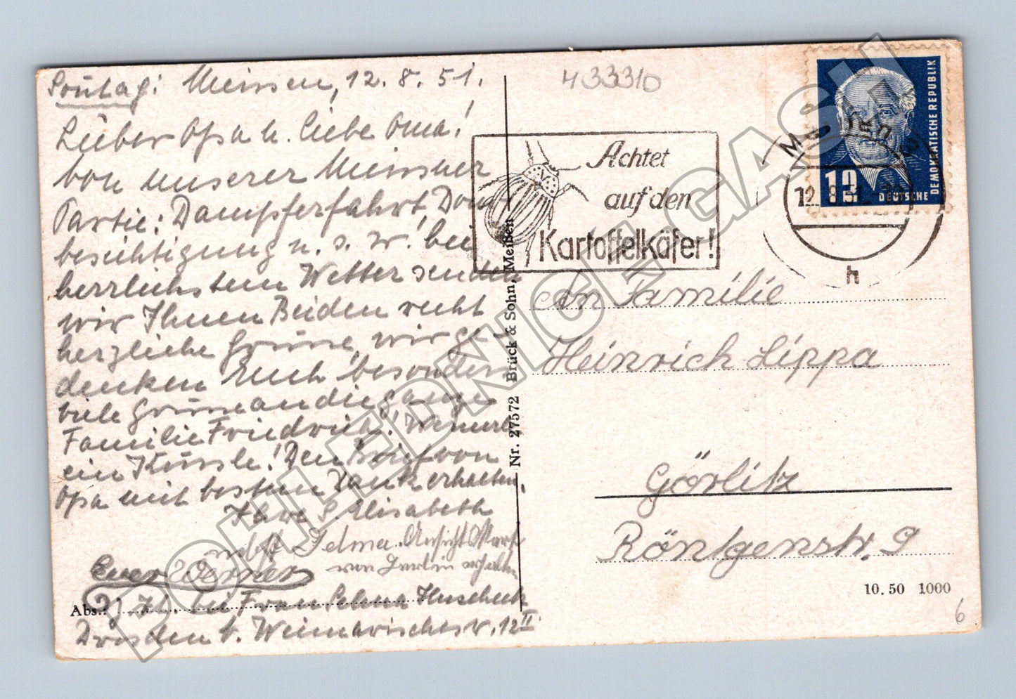 Pohlednice Německo Míšeň (Meissen) panorama 1951 (M33310)