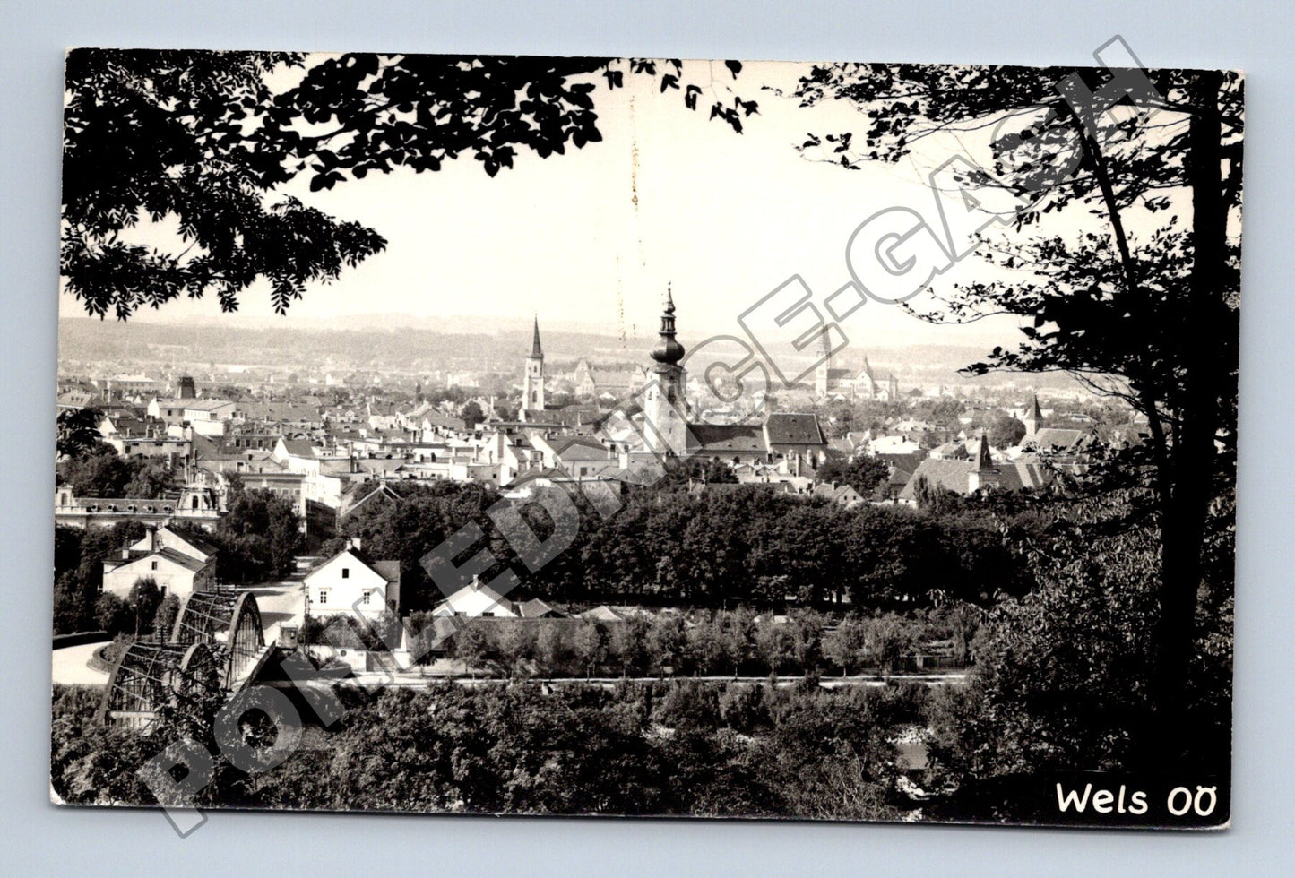 Pohlednice Rakousko Wels panorama města cca 1950 (M33406)