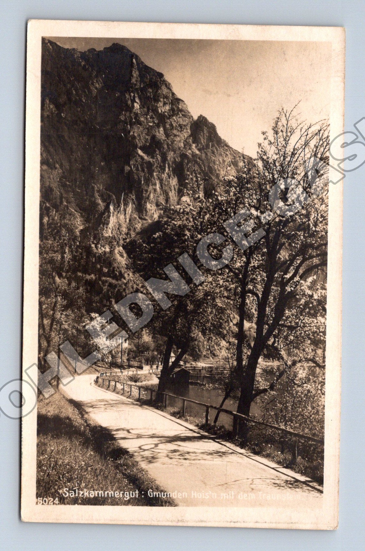 Pohlednice Rakousko Gmunden Salzkammergut 1925 (M33426)
