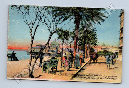 Pohlednice Francie Nice Promenade palm trees 1925 (M33486)