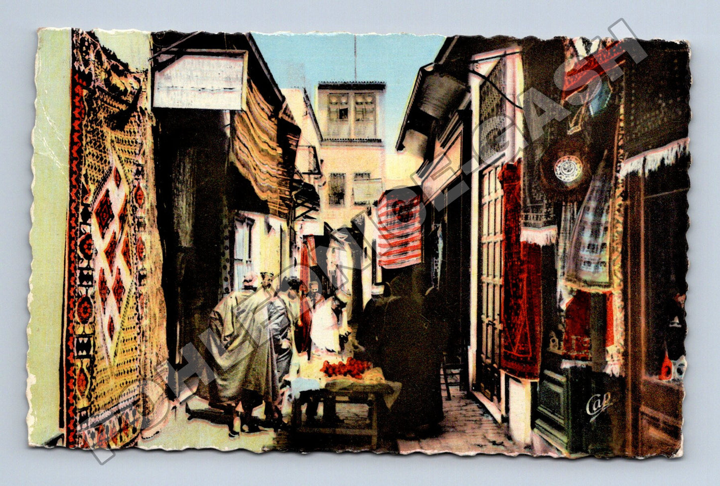Pohlednice Tunis Rue Djemâa-Ez-Zitouna 1961 (M33488)
