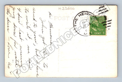 Pohlednice USA Houghton Lake jeleni Northwoods (M33666)