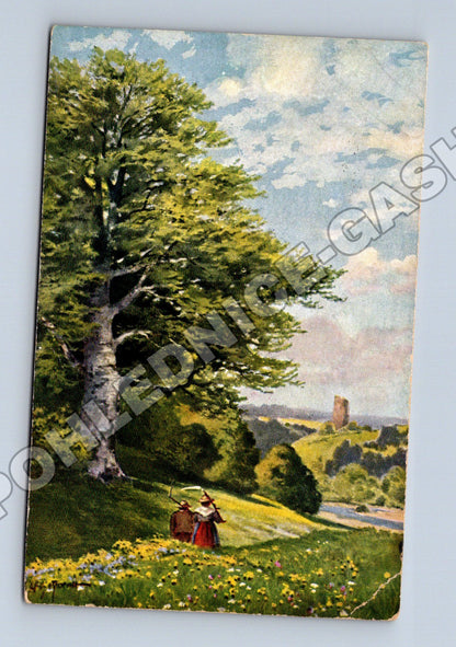 Pohlednice Německo Bavaria venkovská scéna 1908 (M33698)